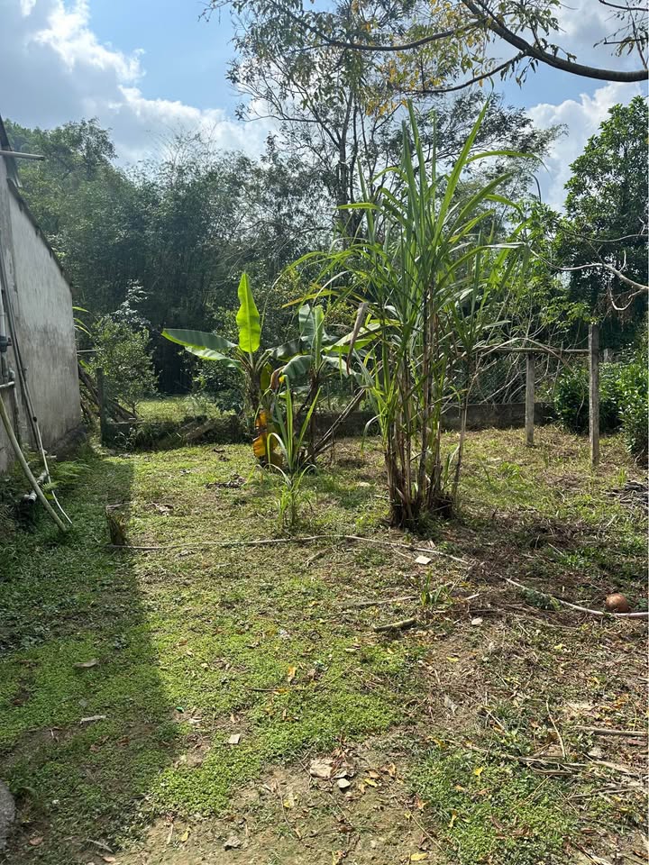 Đất nền Phường Hòa Minh, Quận Liên Chiểu, 300m² - Đầu tư sinh lời tốt!