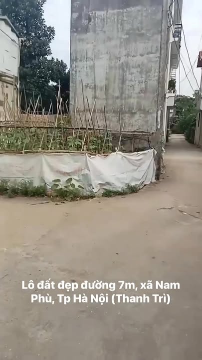 Đất đấu giá xã Nam Phù, Thanh Trì 51m² - Lô góc đẹp, giá tốt!