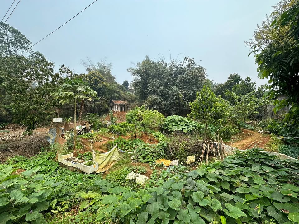 Bán Gấp Đất Tại Ngã 3 Cầu Gồ, Phường Pom Hán, 100m², Giá Chỉ 400 Triệu - Sổ Hồng Chính Chủ