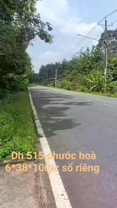 Đất nền đẹp tại xã Phước Hòa, huyện Phú Giáo, 228m² chỉ 1.2 tỷ - Cơ hội đầu tư hấp dẫn!