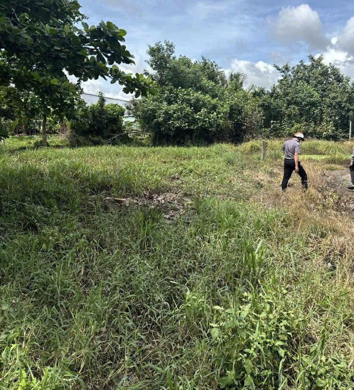 Đất nền Ấp Hòa Mỹ, Phường Mỹ Xuyên 1200m² giá 2.5 tỷ - Thương lượng ngay!