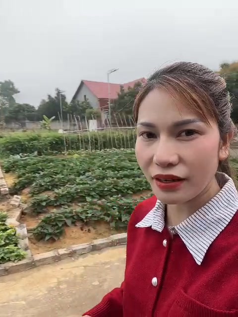 Đất nền Huyện Việt Yên 180m² giá thỏa thuận - Đường 16m thông thoáng!