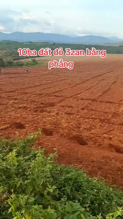 Đất nền 10ha xã Ia Pếch, huyện Ia Grai giá 13 tỷ - Cơ hội đầu tư hấp dẫn!