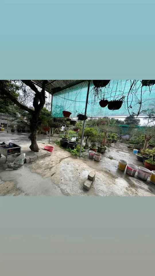 Đất nền liền kề TDP Trung Môn 14, phường Minh Xuân, 100m² - Cơ hội đầu tư hấp dẫn!