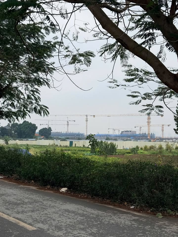 Đất ở Như Quỳnh 42,8m² giá chỉ 2 tỷ - Cơ hội đầu tư hiếm có!