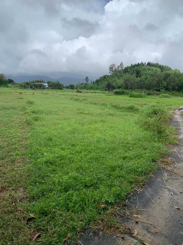 Đất vườn An Phước Thành, 500m² chỉ 150 triệu - Sổ hồng sẵn, view đẹp!