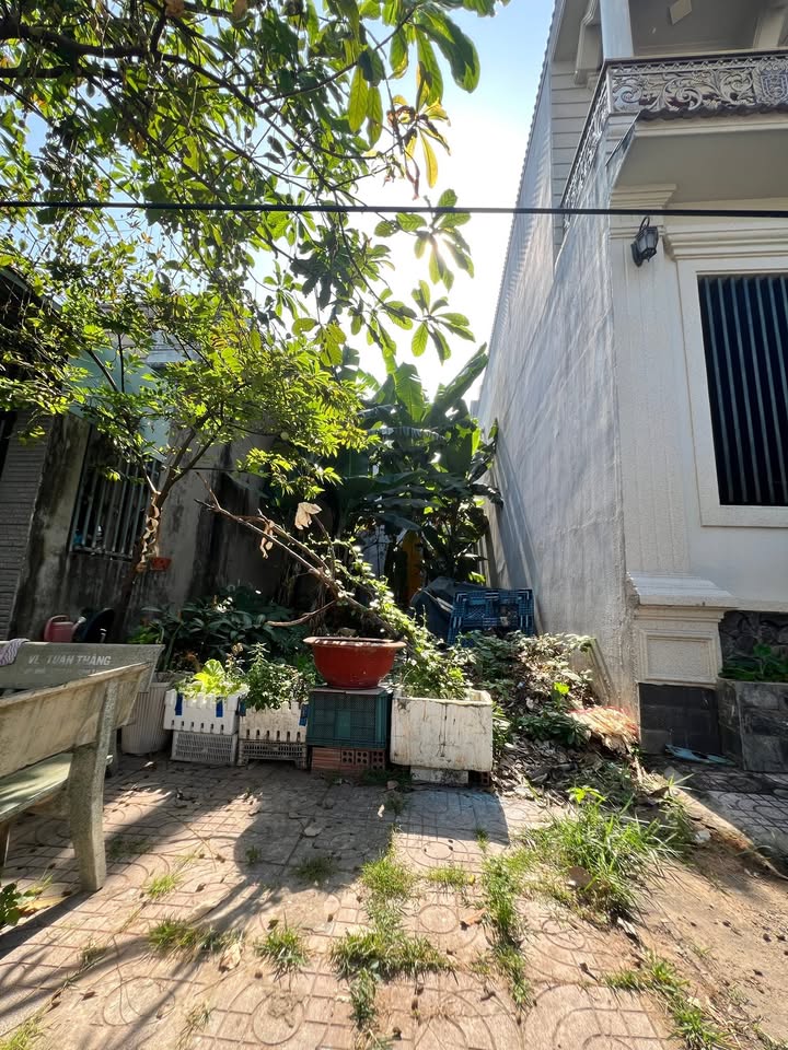 Đất nền Tân Đông Hiệp 75.5m² giá thỏa thuận - Đầu tư an toàn, tiềm năng tăng giá!