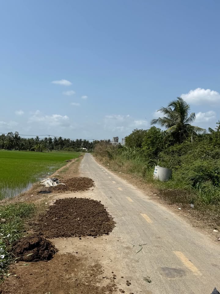 Đất mặt tiền nhựa Huyện Duyên Hải 450m² giá 3.15 tỷ - Đầu tư tuyệt vời!