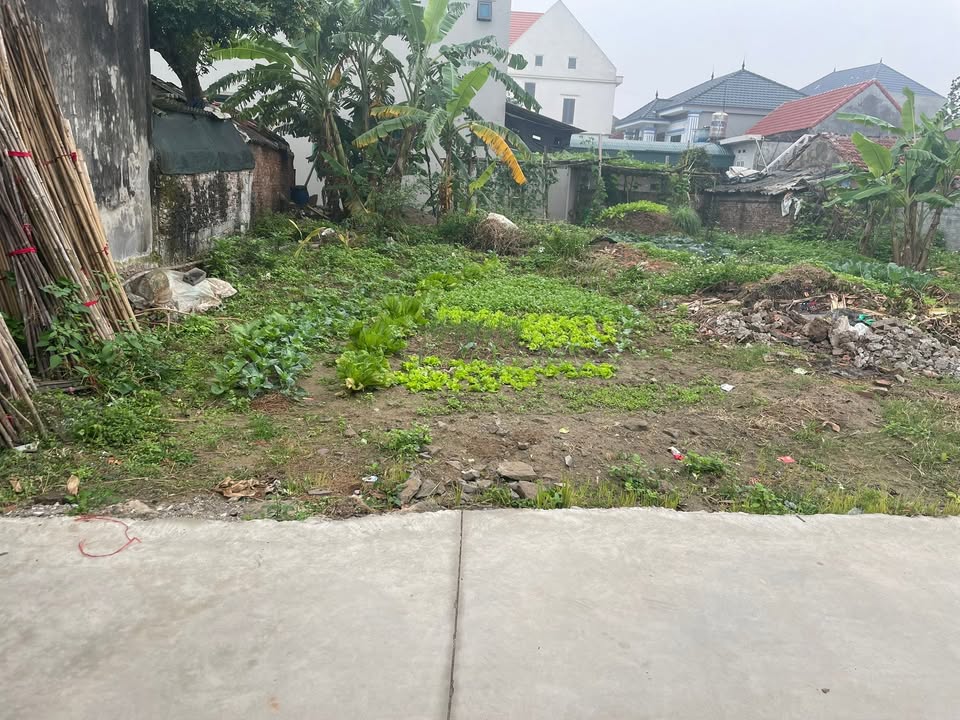 Đất nền Vĩnh Xá Kim Động 332m² - Cần chuyển nhượng gấp!