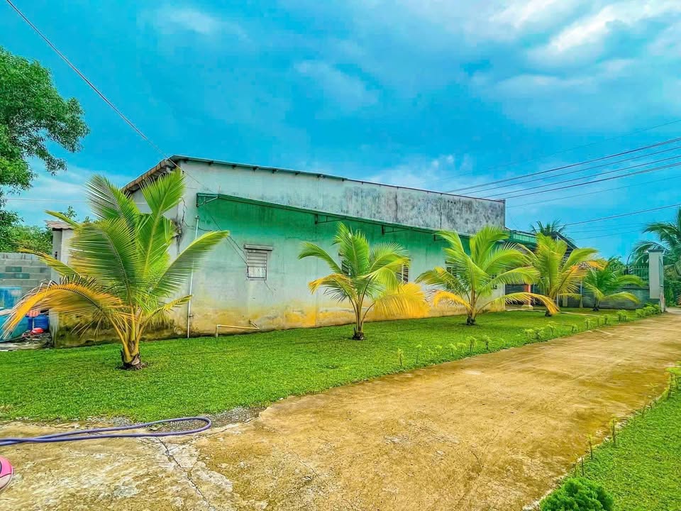 Nhà vườn đẹp tại Bình Mỹ, Củ Chi 2247m² giá chỉ 13.9 tỷ - Đầu tư lý tưởng!