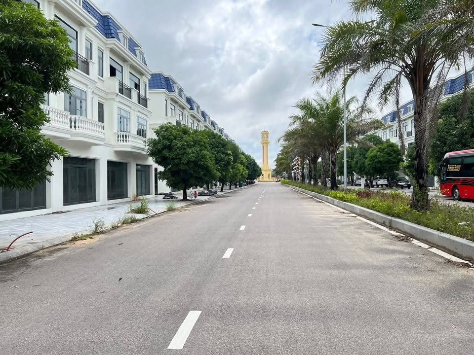 Đất nền Liên Phường An Nhơn 100m² - View công viên tuyệt đẹp, đầu tư ngay!