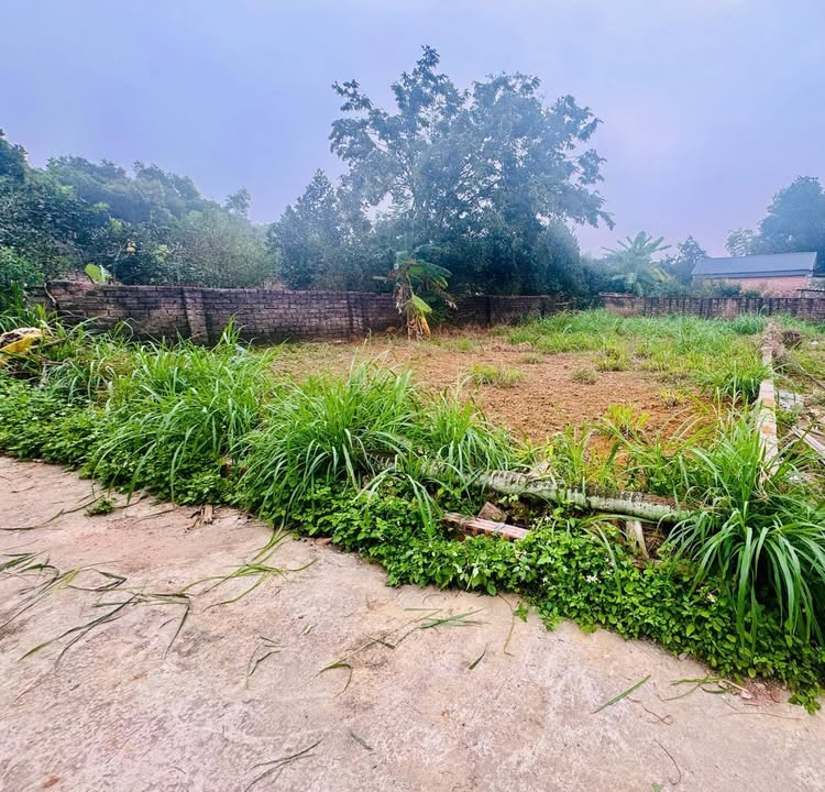 Đất ở đô thị Sơn Tây 193m² giá 2 tỷ - Sổ đỏ chính chủ, ô tô vào tận đất!