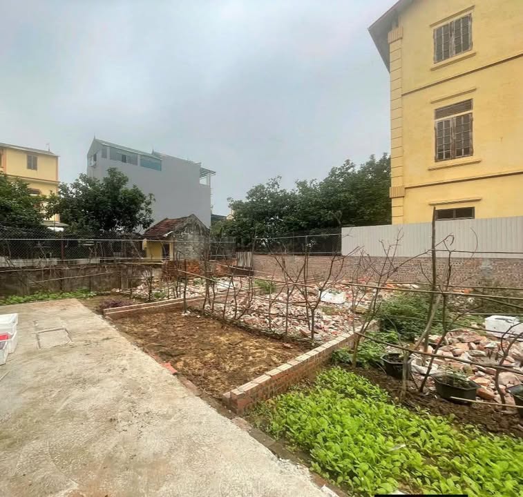 Đất nền Ỷ Lan - Gia Lâm 42m² giá 3 tỷ - Cơ hội đầu tư hấp dẫn!