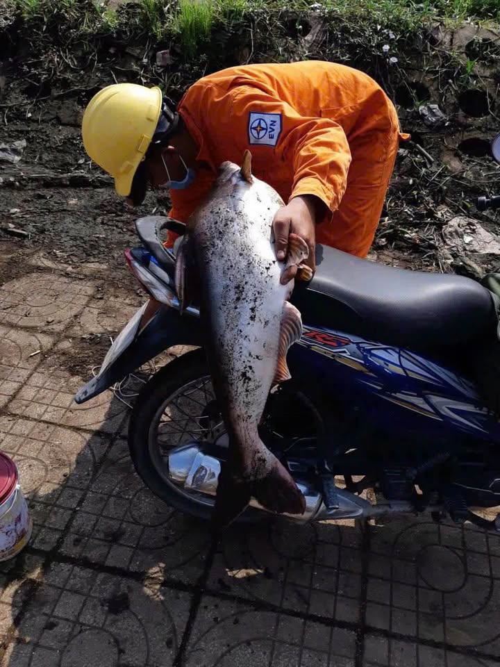 Đất nền Quận Ô Môn, Thới Long 4938m² giá 5 tỷ - Đầu tư sinh lời lý tưởng!