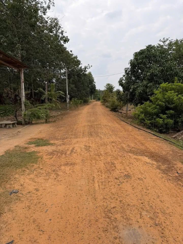 Đất nền xã Tân Mỹ, huyện Bắc Tân Uyên, 250m² giá chỉ 239 triệu - Cơ hội đầu tư hấp dẫn!