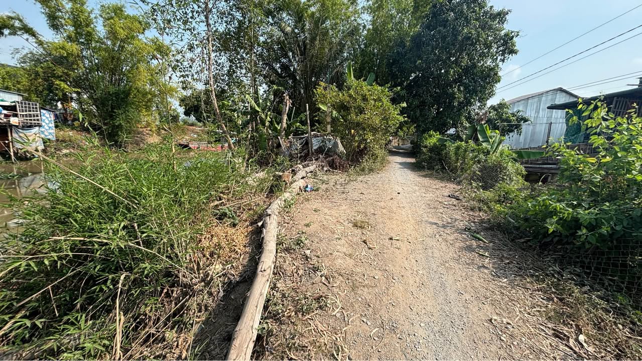 Đất nền thổ cư 350m² xã Tân Thạnh - Giá chỉ 480 triệu, đầu tư ngay!