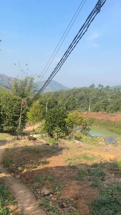 Farm Đạ Huoai 1.2ha giá 3.8 tỷ - Đầu tư sinh lời hấp dẫn!