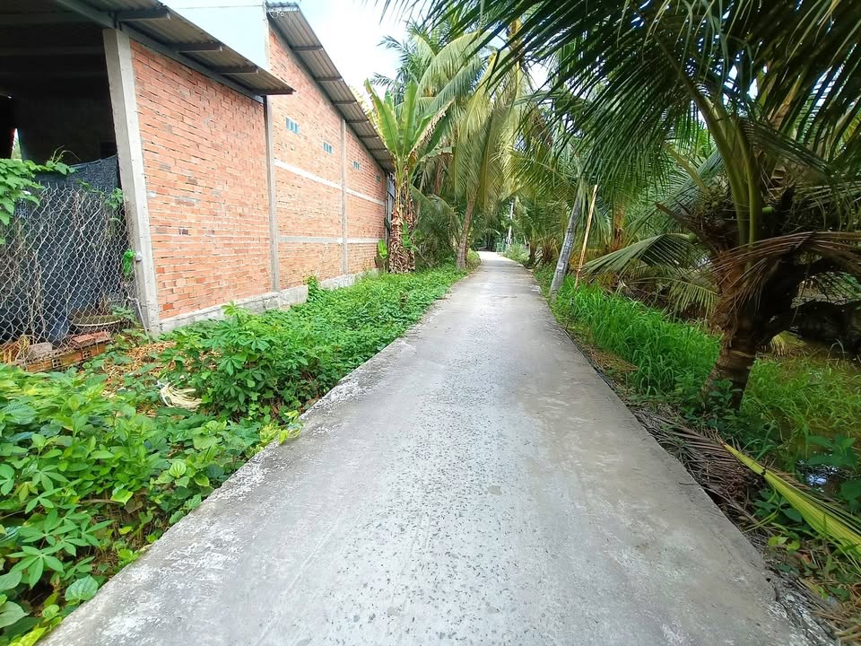 Đất nền thổ cư 238m² tại Ấp An Cư, Bình Ninh, Chợ Gạo - Giá chỉ 350 triệu!