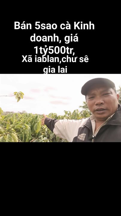 Farm đất 360m² tại Chư Sê, Gia Lai giá 1.5 tỷ - Cơ hội đầu tư tuyệt vời!