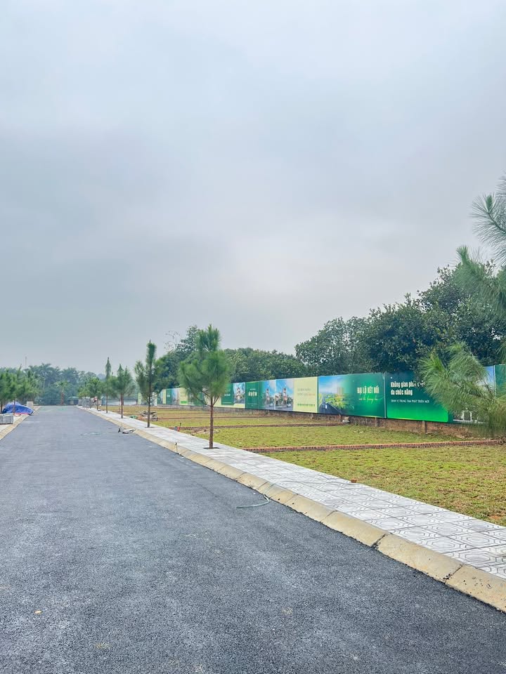 Đất nền Hòa Lạc 99m² giá 3 tỷ - Lô góc 2 mặt tiền, tiềm năng lớn!