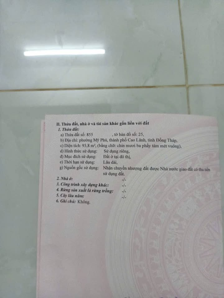 Đất nền đường Mạc Đỉnh Chi, phường Mỹ Phú, 94m² giá 2.3 tỷ - Đầu tư sinh lời!