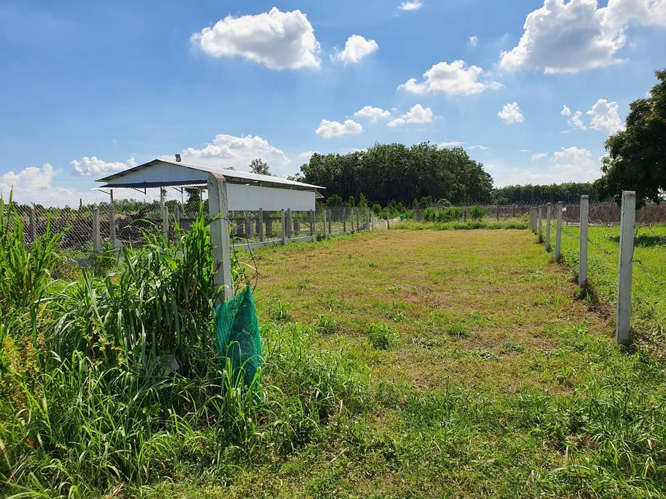 Đất thổ cư An Thới, An Tịnh, Trảng Bàng 400m² giá 1.45 tỷ - Đầu tư sinh lời ngay!