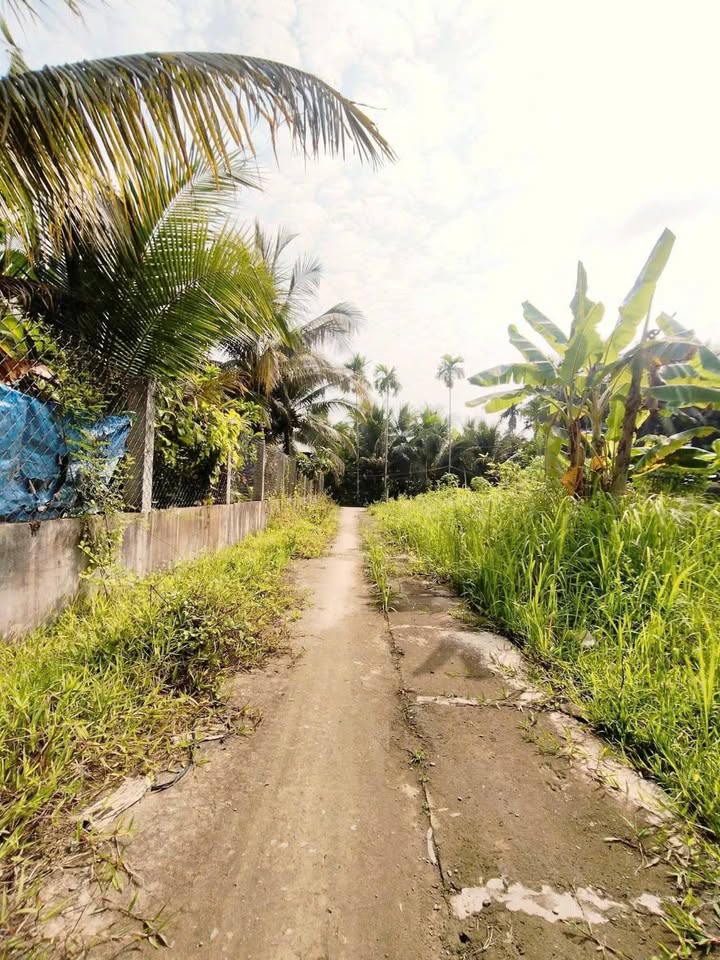 Đất nền Vĩnh Kim, Châu Thành, Tiền Giang 115m² giá 290 triệu - Cơ hội đầu tư tốt!