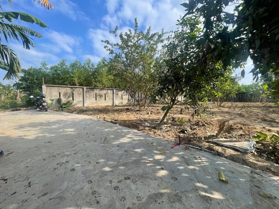 Nhà vườn Hòa Ninh, Huyện Hòa Vang, 420m² giá 2.3 tỷ - Đầu tư sinh lời hấp dẫn!