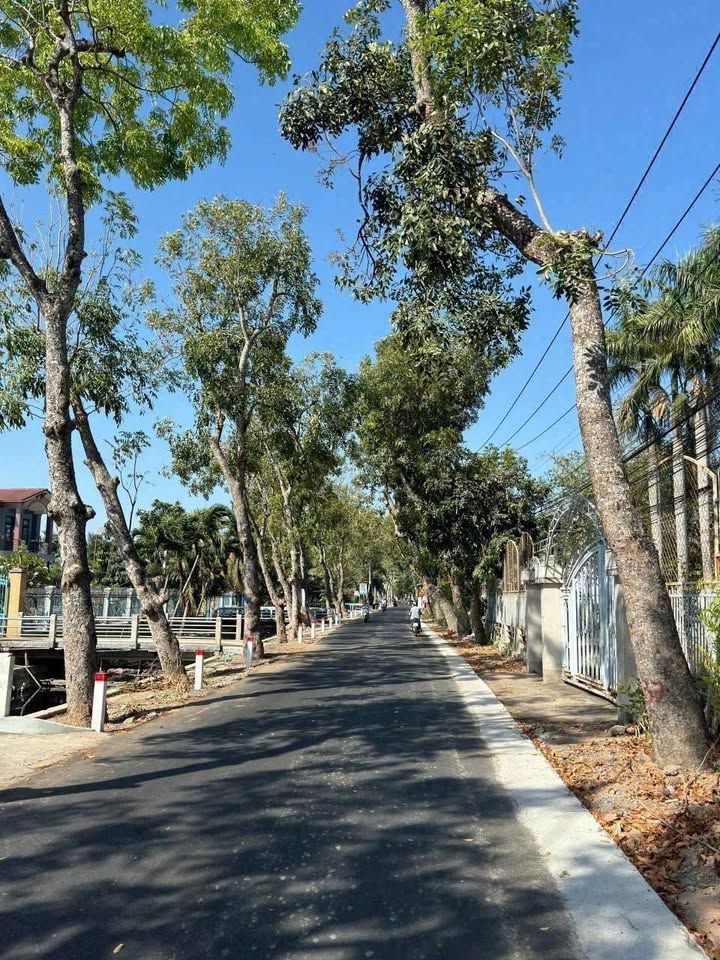 Bán đất mặt tiền đường Trần Thị Thơm, Mỹ Tho 195m² giá 1.55 tỷ - Đầu tư sinh lời cao!