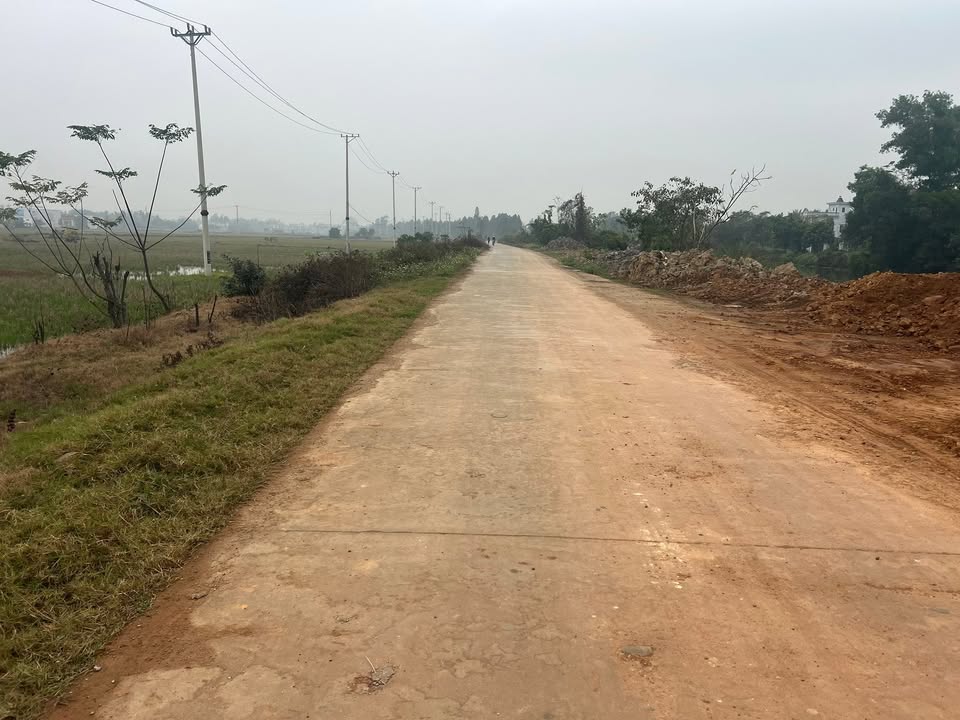 Đất nền chính chủ xã Hậu Lộc 200m² giá thỏa thuận - Vị trí đắc địa ven sông