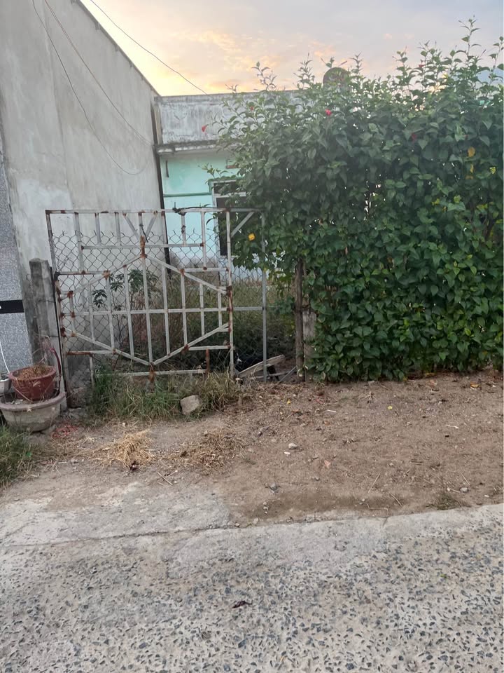 Đất thổ cư 100m² tại Hộ Hải, Ninh Thuận giá 550 triệu - Đường ô tô vào tận nơi!