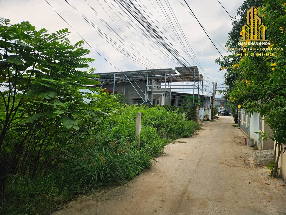 Đất nền 310m² hẻm 98 Trương Định, Phường Bảo An, giá chỉ 1.7 tỷ - Đầu tư lâu dài!