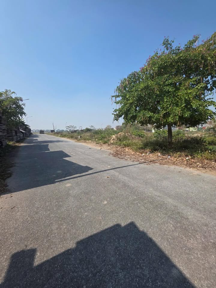 Đất nền Yên Phong 98m² giá 2.3 tỷ - Tiềm năng tăng giá cao!