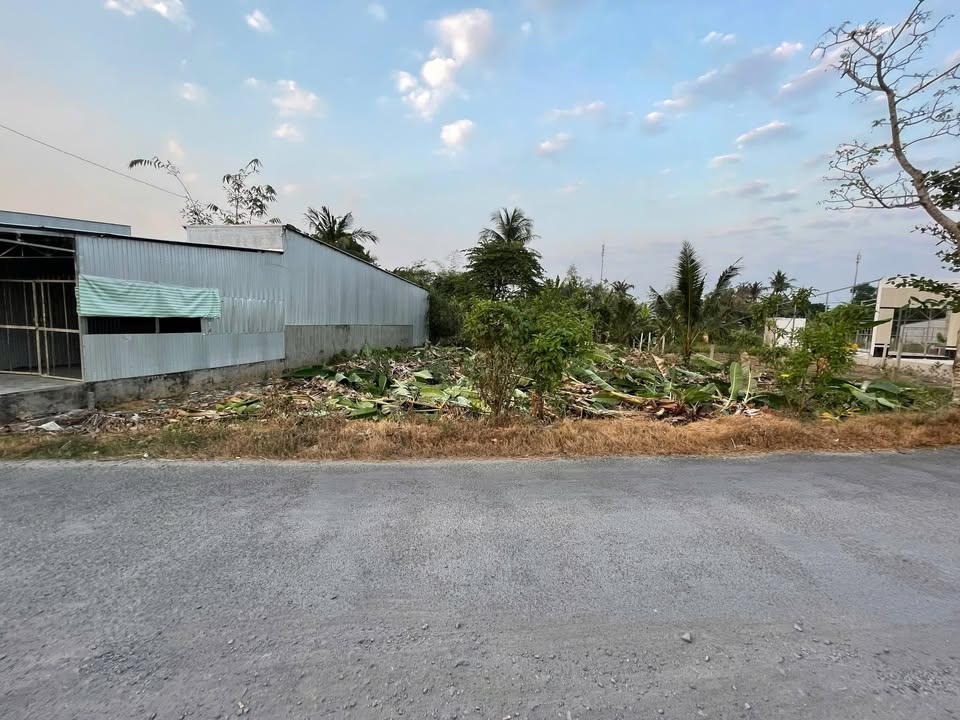 Đất nền thổ cư tuyến Càng Được - Vàm Bi 142m² giá thỏa thuận - Cơ hội đầu tư hấp dẫn!