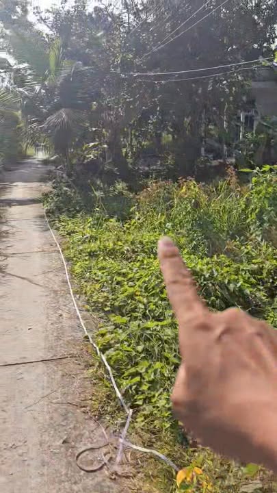 Đất nền thổ cư 850m² tại Trường Long, Cần Thơ - Giá chỉ 850 triệu!