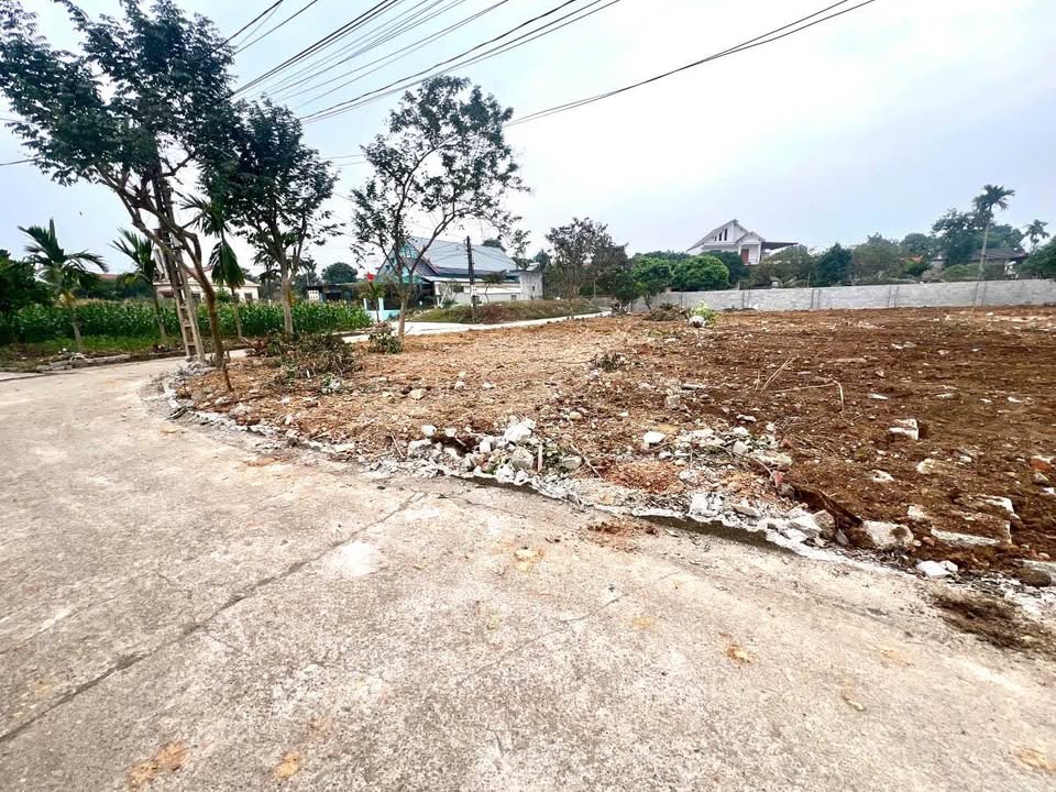 Đất nền Phường Chùa Hang - Diện tích 87m² - Giá đầu tư chỉ từ 900 triệu!