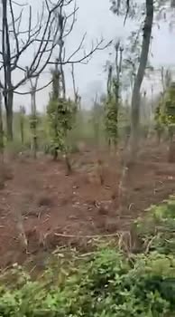 Đất thổ cư mặt tiền đường Tân Liên - 1530m² giá 1 tỷ - Cơ hội đầu tư tốt!