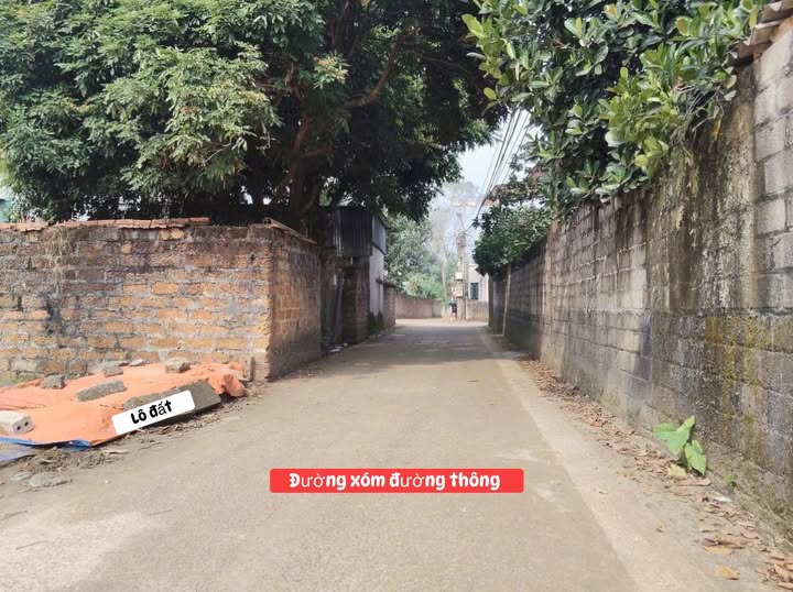 Đất nền 60m² tại Hạ Bằng, Thạch Thất - Giá chỉ 2 tỷ, cơ hội đầu tư hấp dẫn!