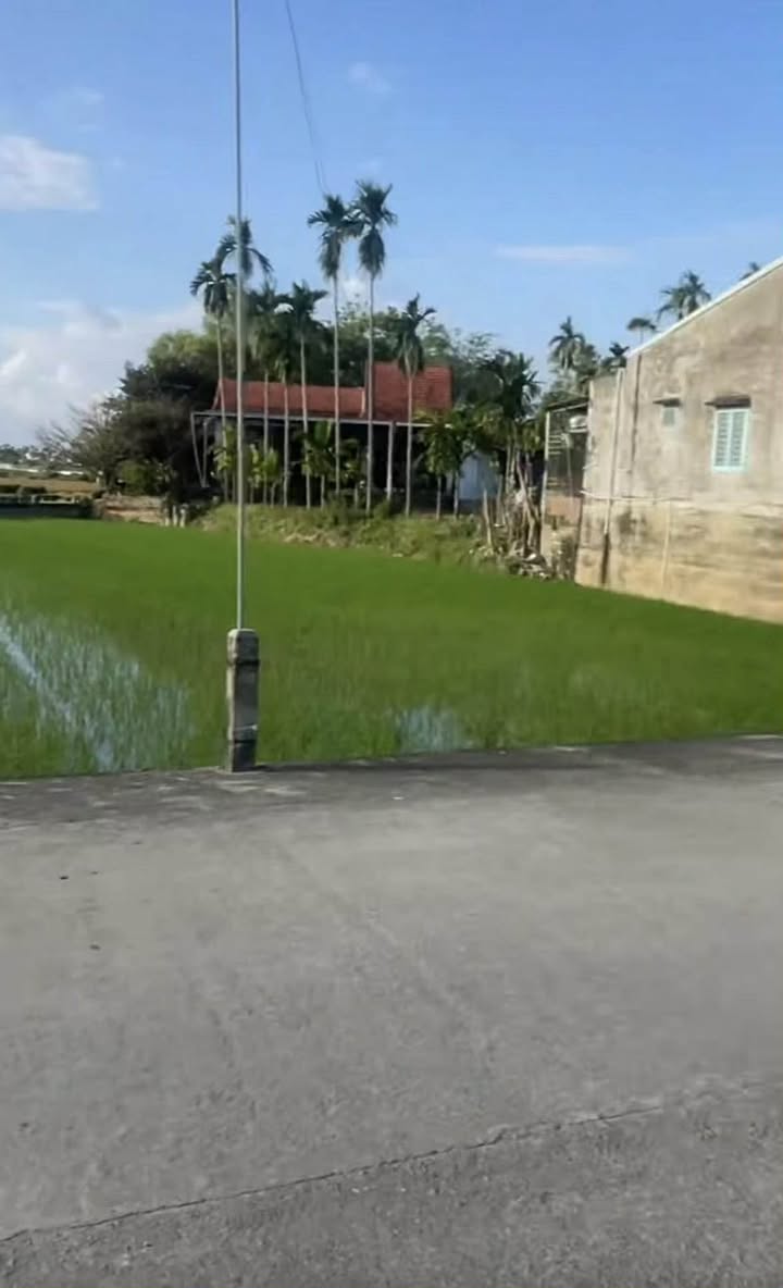 Đất nền thôn Thi Thại Duy Thành 350m² giá chỉ 1.4 tỷ - Lô góc view lúa tuyệt đẹp