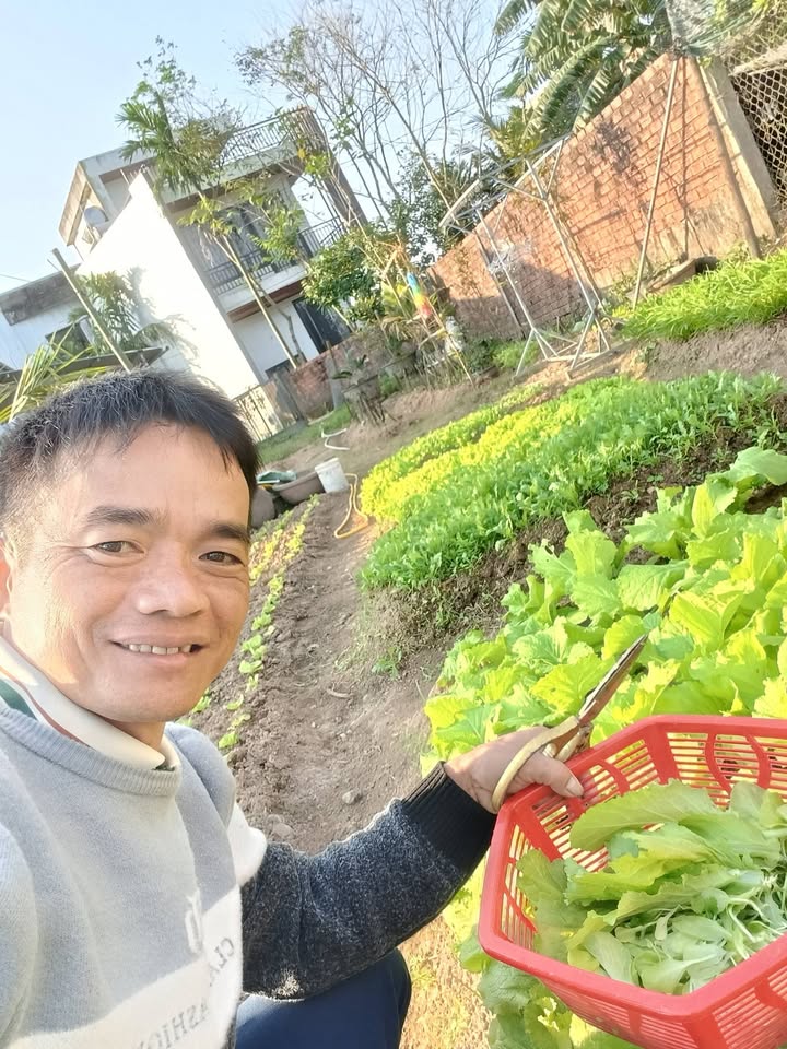 Nhà vườn cấp 4 Tam Vinh Phú Ninh 400m² giá 600 triệu - Cơ hội đầu tư tuyệt vời!