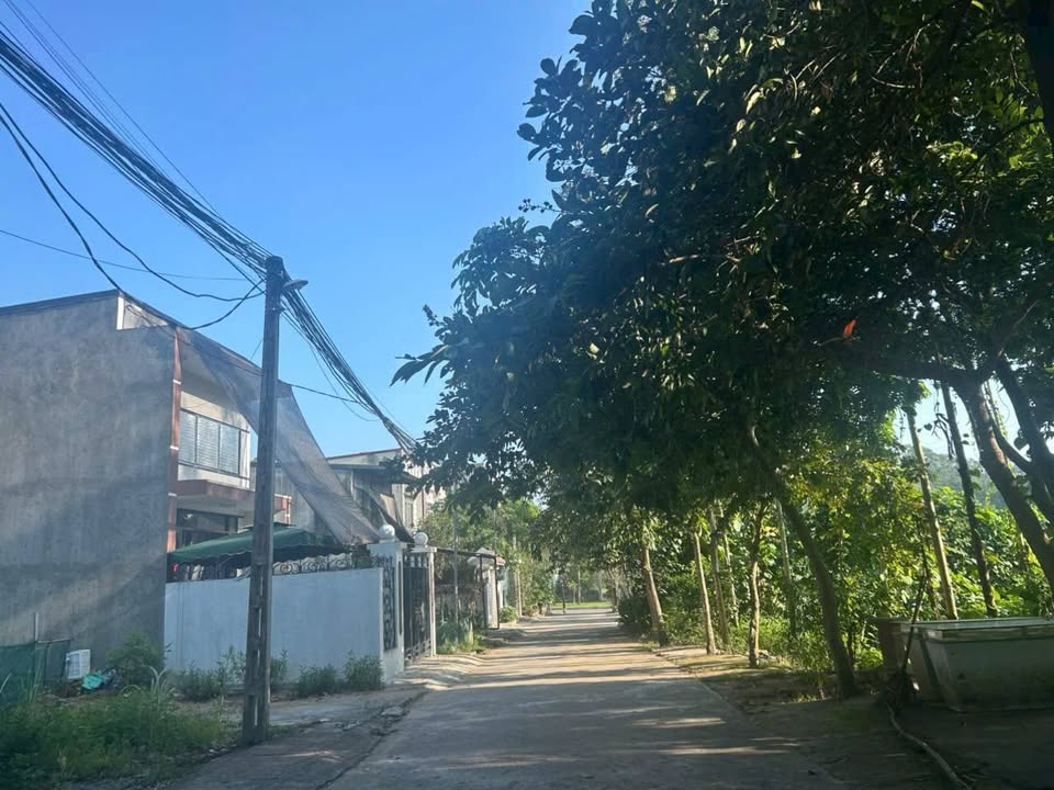 Đất nền xã Tân Hương, huyện Yên Bình 124m² giá 900 triệu - Sổ đỏ chính chủ, không ngập nước!