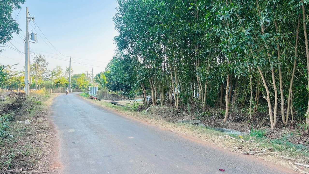 Đất nền mặt tiền Tỉnh lộ 329, xã Hòa Hiệp, 500m² - Sổ riêng chính chủ!