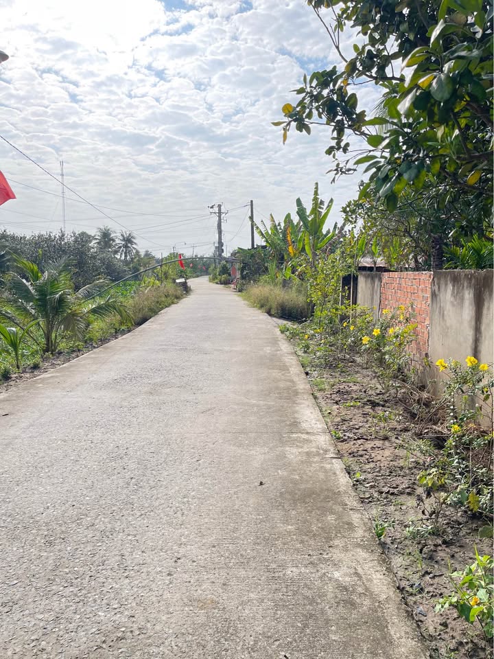 Đất nền Phường Cái Vồn, Vĩnh Long 75m² giá 390 triệu - Cơ hội đầu tư tuyệt vời!