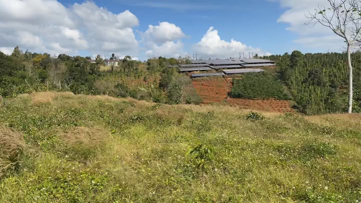 Đất nền 720m² xã Đắk R'Măng giá chỉ 400 triệu - Sổ hồng chính chủ!