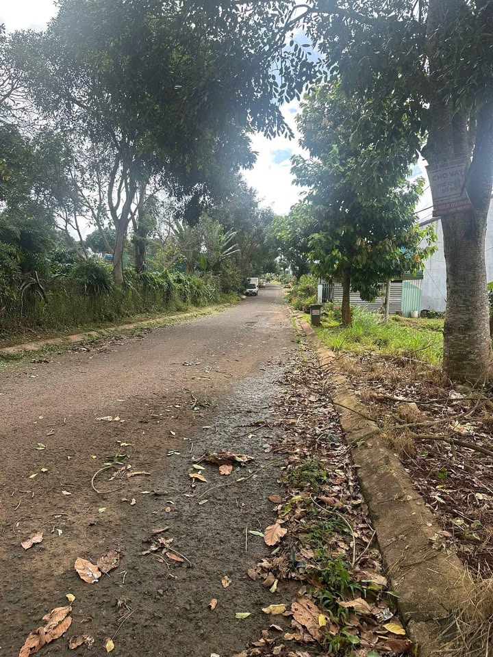 Đất nền 290m² mặt tiền đường Hoàng Diệu, Đắk Mil chỉ 5.51 tỷ - Cơ hội đầu tư tuyệt vời!