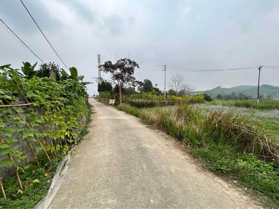 Đất nền 100m² tại Phường Mỹ Lâm chỉ 550 triệu - Cơ hội đầu tư hấp dẫn!