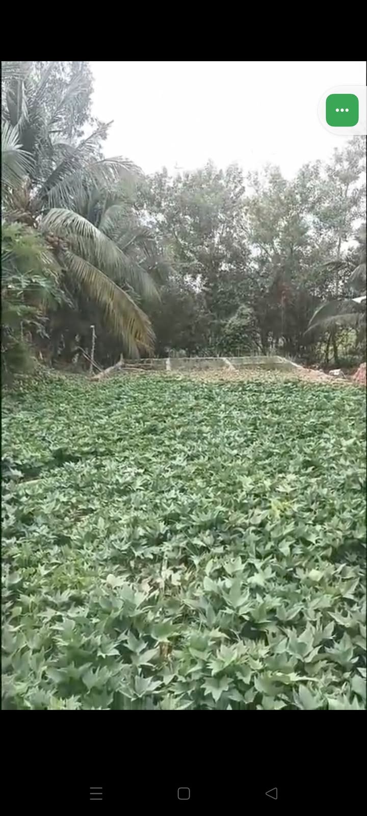 Đất mặt tiền 7m tại Trảng Bàng, Tây Ninh 6500m² giá 4.9 tỷ - Đầu tư sinh lời ngay!