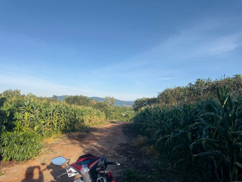 Đất nền Nam Hà Lâm Đồng 1100m² giá chỉ từ 1.5 tỷ - Sổ đỏ chính chủ!