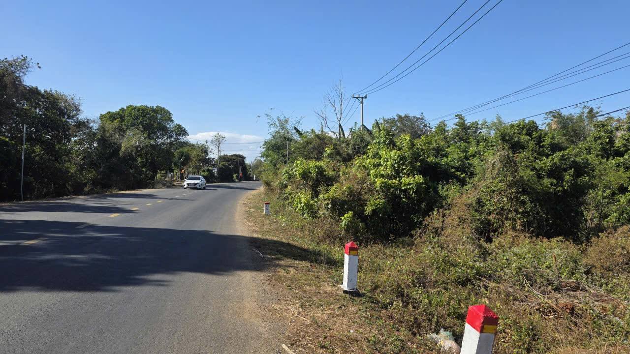 Đất nền kinh doanh mặt tiền Quốc lộ Phù Mỹ 2.5ha giá 2.4 tỷ - Cơ hội đầu tư tuyệt vời!