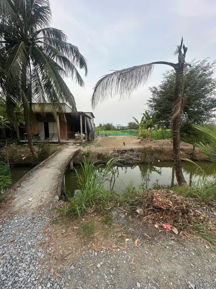 Đất nền Lợi An, Gò Công Tây 459m² giá 1.525 tỷ - Đầu tư sinh lời hấp dẫn!